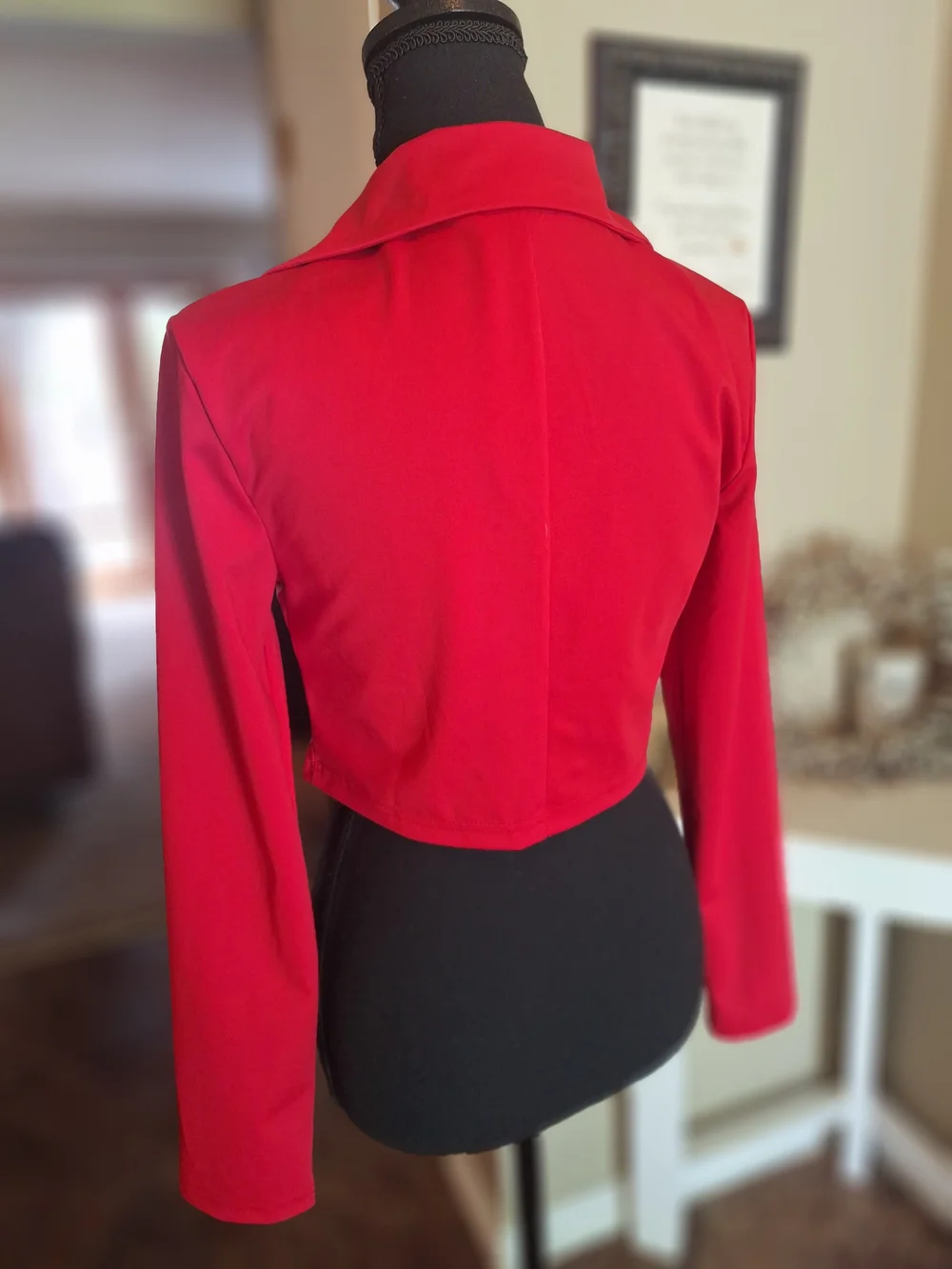 NWT Dolls Kill Red Cropped Double-Button Blazer S